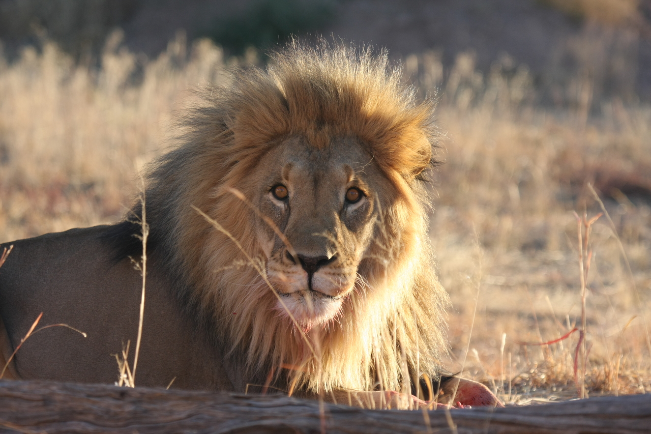 [7931] 2016_06_23_11_47_33_Africa_Canon_EOS_40D_IMG__01085.jpg
