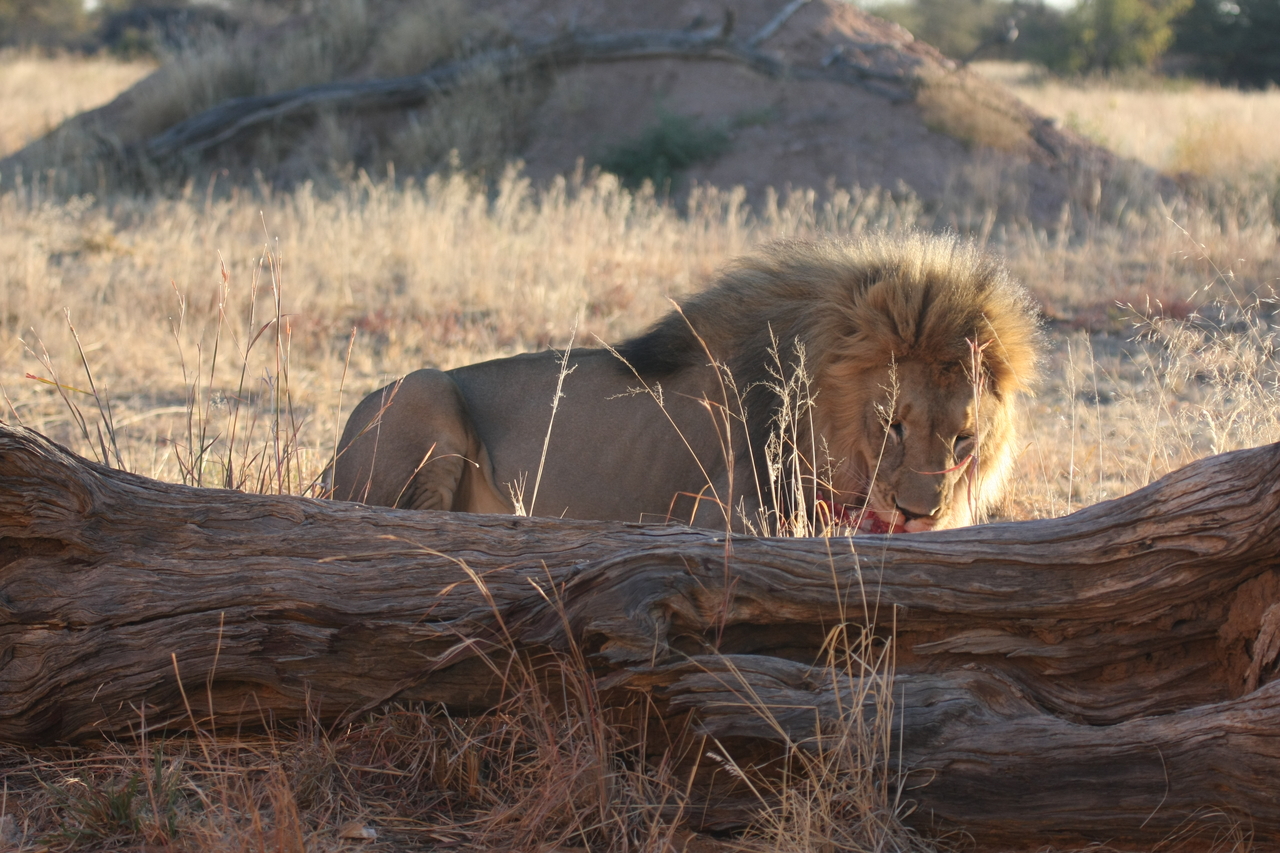 [7944] 2016_06_23_11_48_05_Africa_Canon_EOS_40D_IMG__01923.jpg