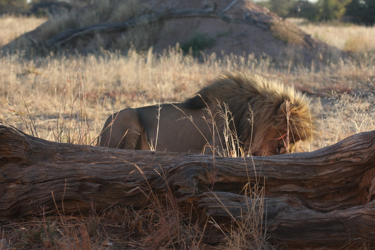 [7954] 2016_06_23_11_48_10_Africa_Canon_EOS_40D_IMG__00755.jpg