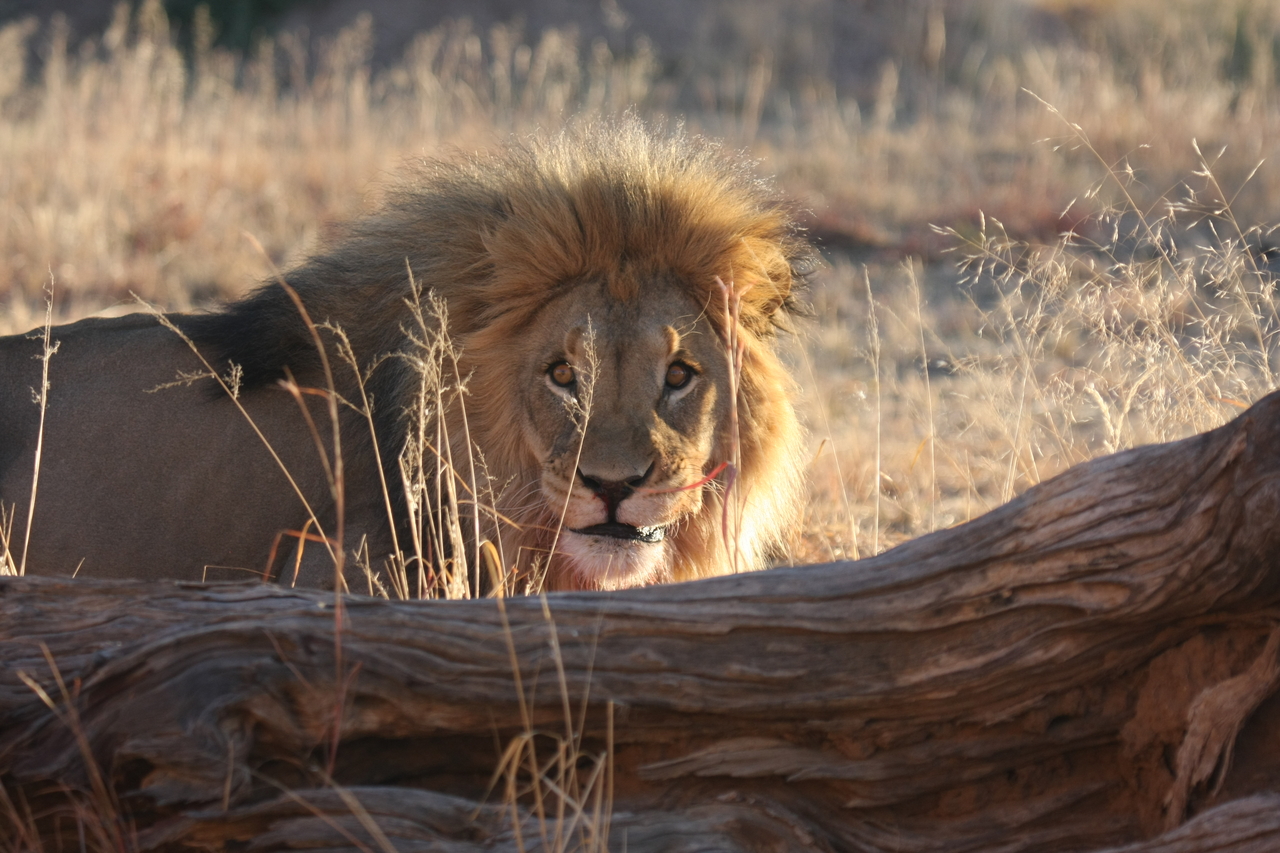 [7963] 2016_06_23_11_48_38_Africa_Canon_EOS_40D_IMG__00757.jpg
