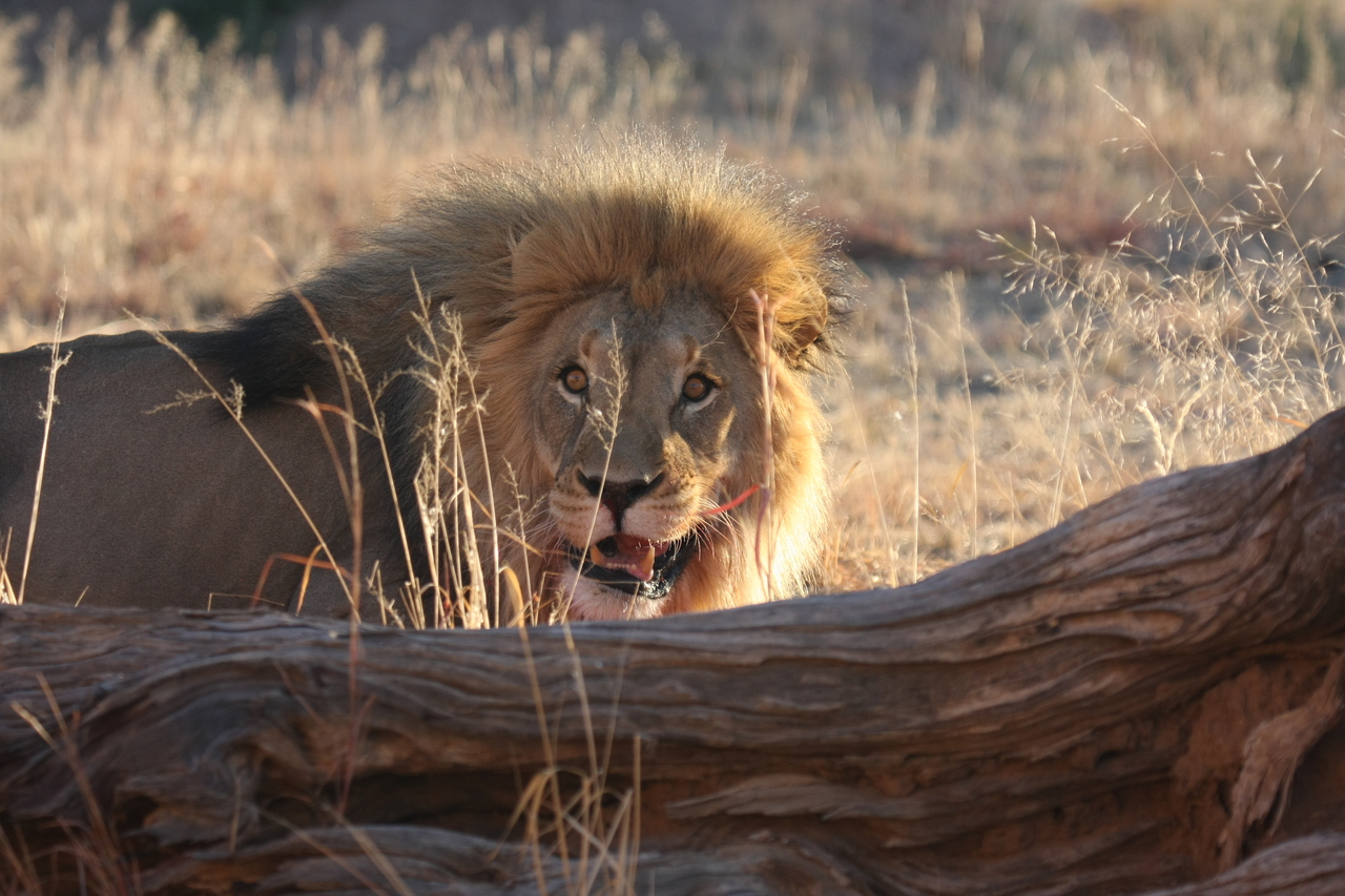 [7967] 2016_06_23_11_48_38_Africa_Canon_EOS_40D_IMG__01592.jpg