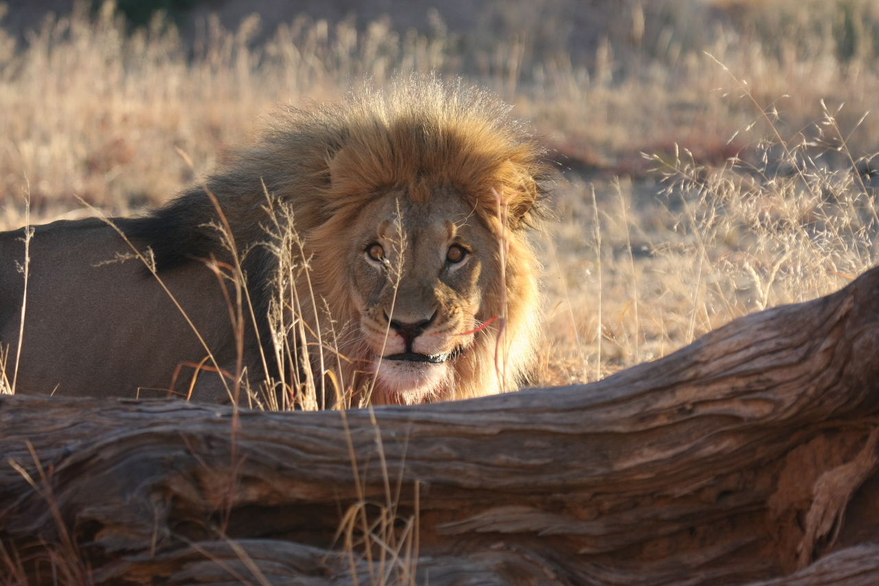 [7975] 2016_06_23_11_48_39_Africa_Canon_EOS_40D_IMG__01594.jpg