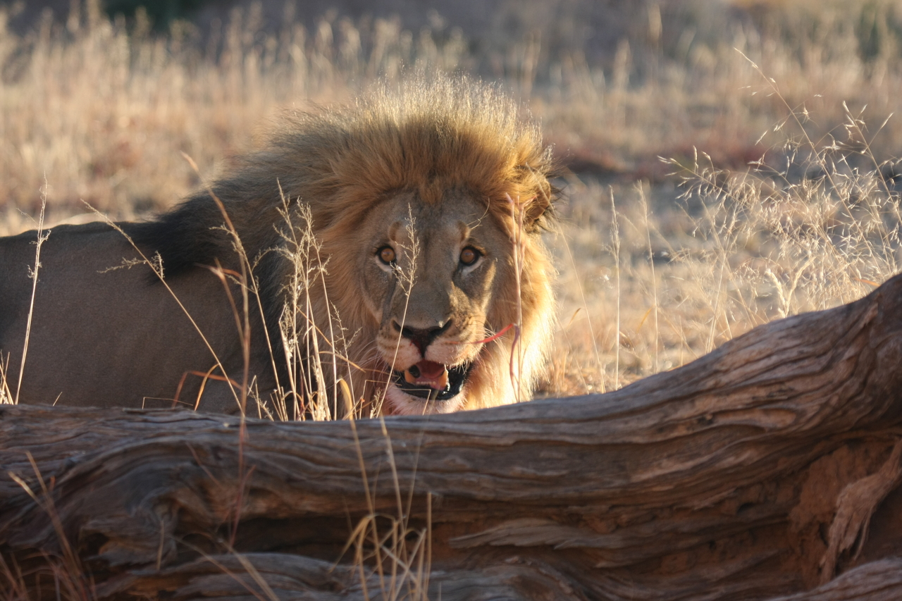 [7977] 2016_06_23_11_48_39_Africa_Canon_EOS_40D_IMG__01596.jpg