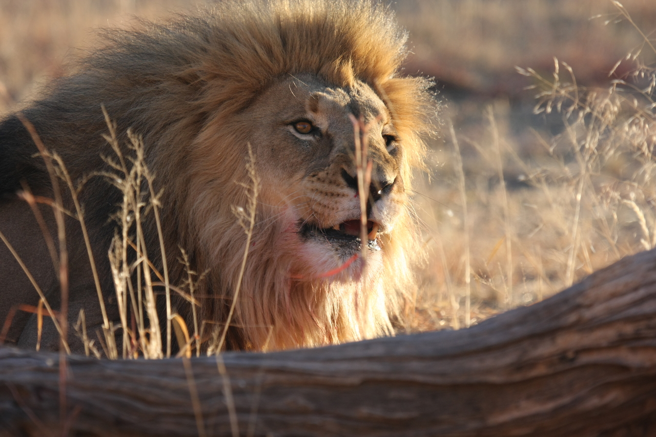 [7984] 2016_06_23_11_48_44_Africa_Canon_EOS_40D_IMG__01597.jpg