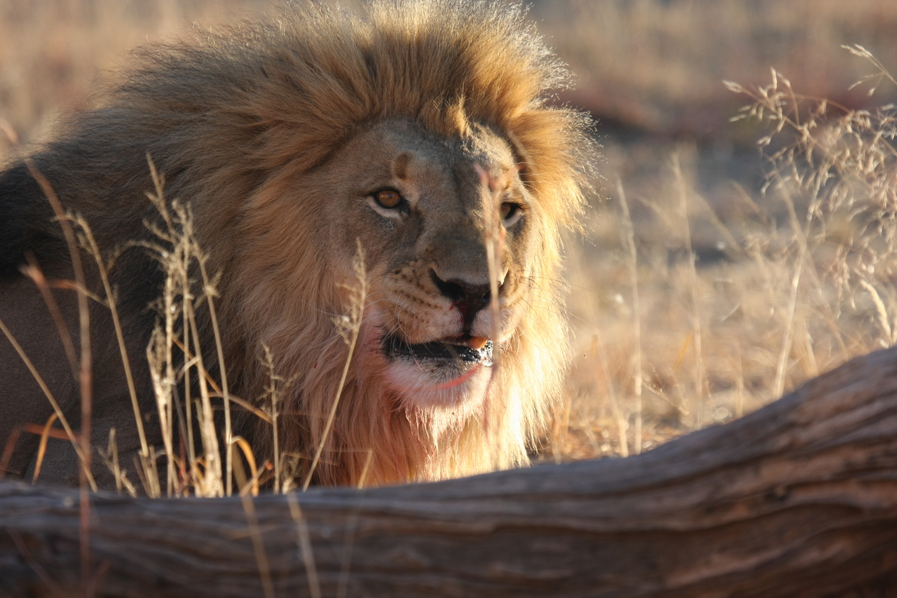 [7997] 2016_06_23_11_48_45_Africa_Canon_EOS_40D_IMG__09049.jpg