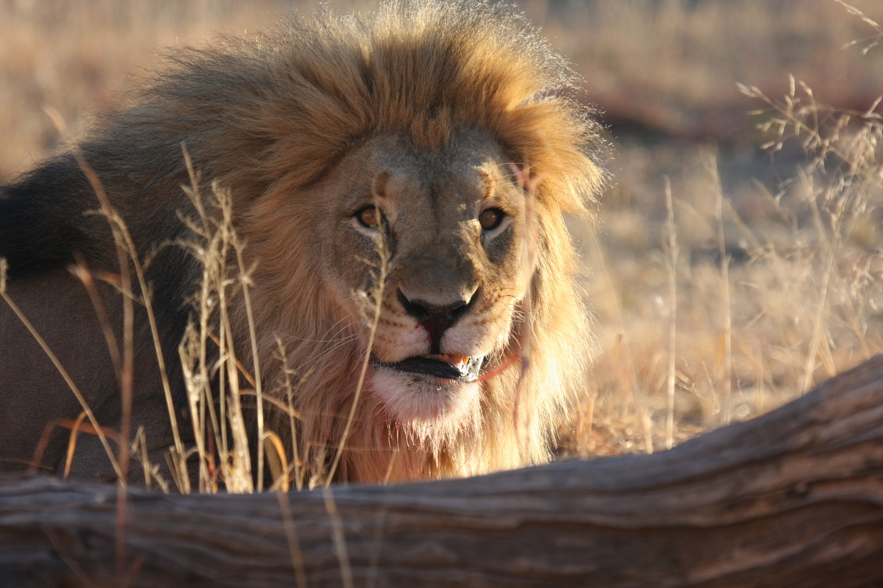 [8010] 2016_06_23_11_48_47_Africa_Canon_EOS_40D_IMG__00775.jpg