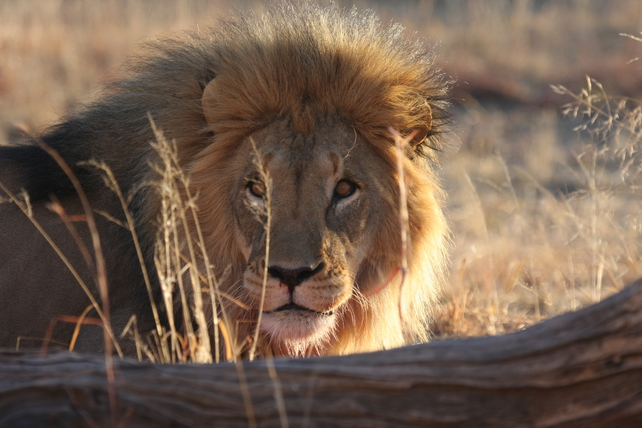[8024] 2016_06_23_11_48_50_Africa_Canon_EOS_40D_IMG__01613.jpg