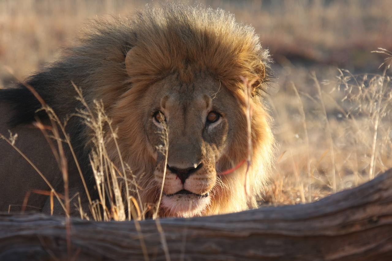 [8025] 2016_06_23_11_48_50_Africa_Canon_EOS_40D_IMG__01614.jpg