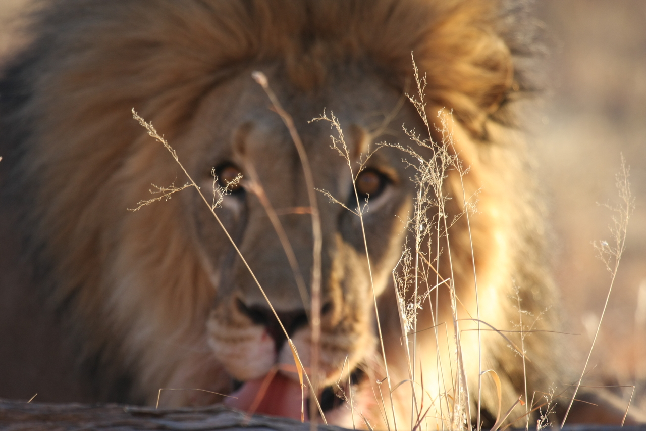 [8057] 2016_06_23_11_49_21_Africa_Canon_EOS_40D_IMG__01625.jpg