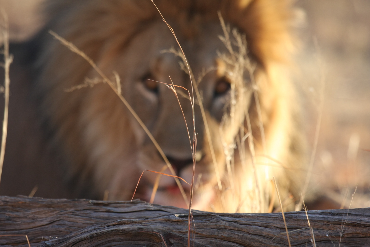 [8063] 2016_06_23_11_49_26_Africa_Canon_EOS_40D_IMG__01627.jpg