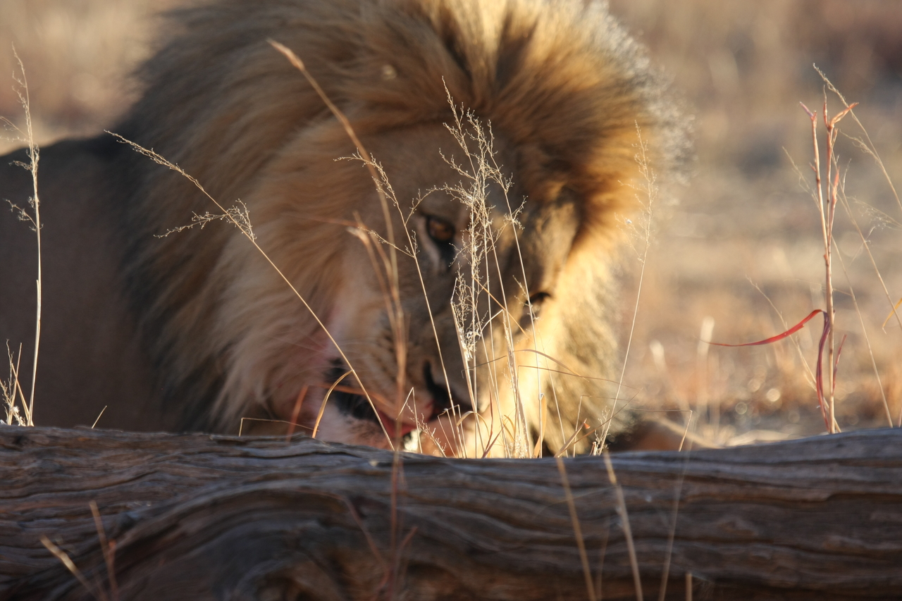 [8068] 2016_06_23_11_49_41_Africa_Canon_EOS_40D_IMG__00795.jpg