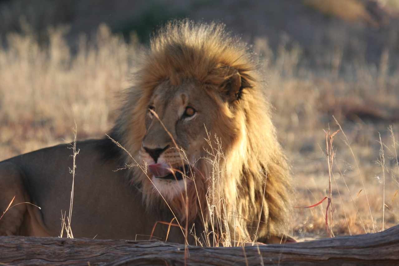 [8085] 2016_06_23_11_51_09_Africa_Canon_EOS_40D_IMG__00803.jpg