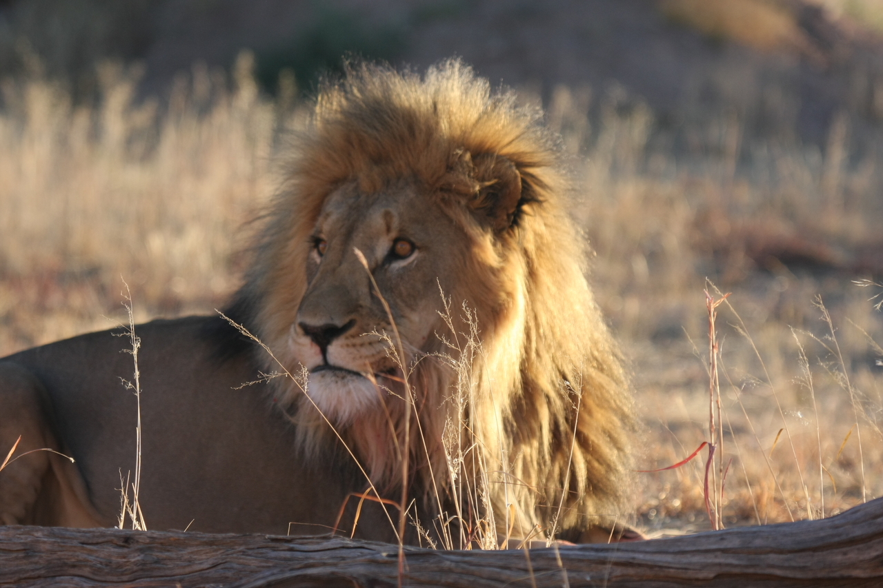 [8093] 2016_06_23_11_51_10_Africa_Canon_EOS_40D_IMG__01638.jpg