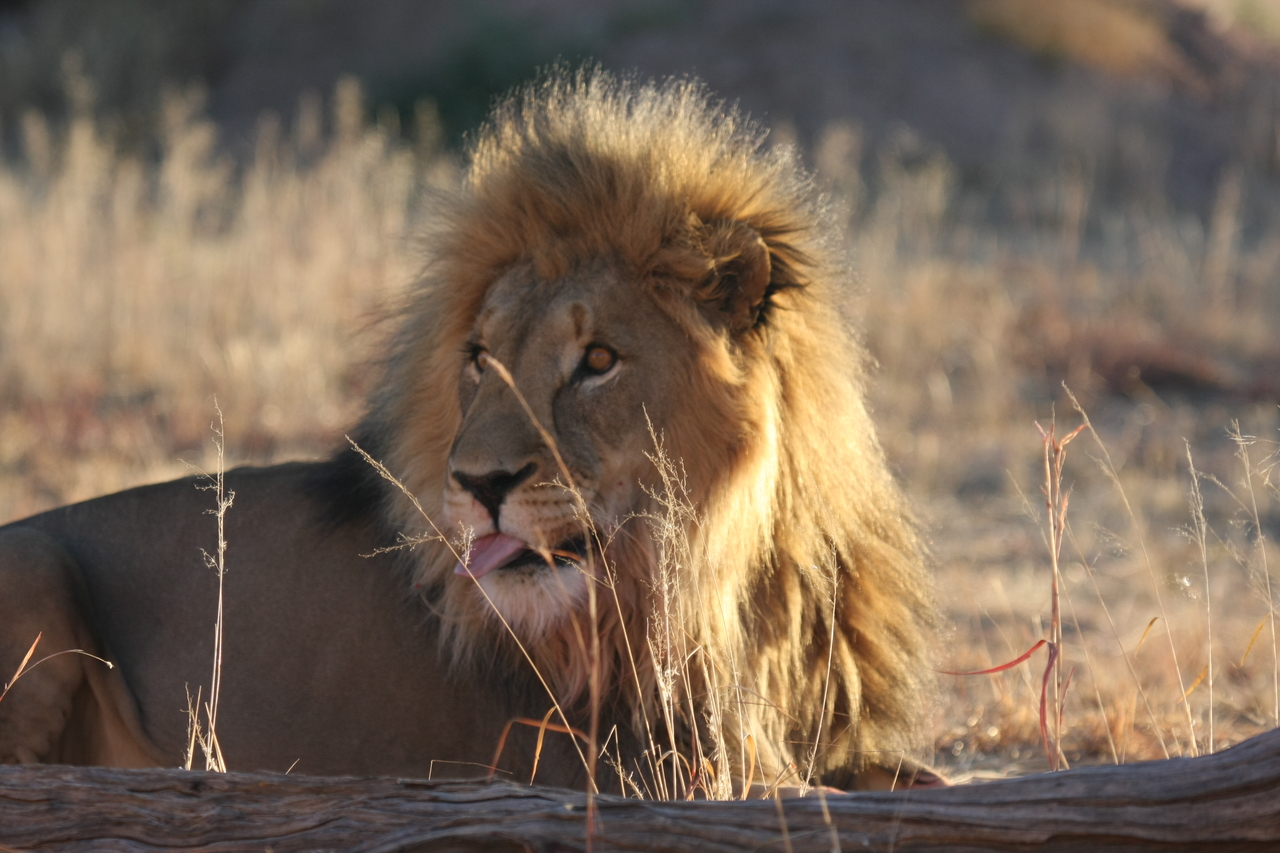 [8099] 2016_06_23_11_51_11_Africa_Canon_EOS_40D_IMG__09086.jpg