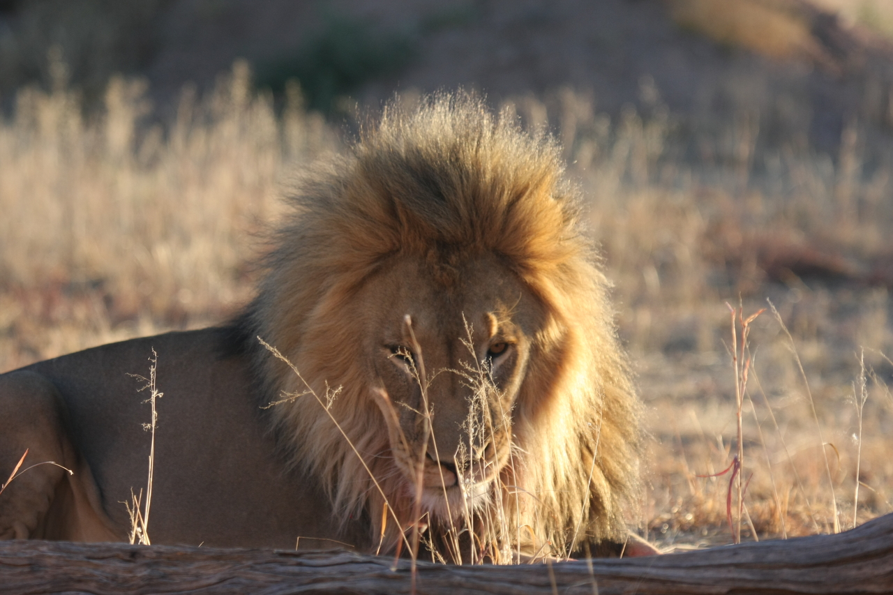 [8105] 2016_06_23_11_51_14_Africa_Canon_EOS_40D_IMG__01642.jpg