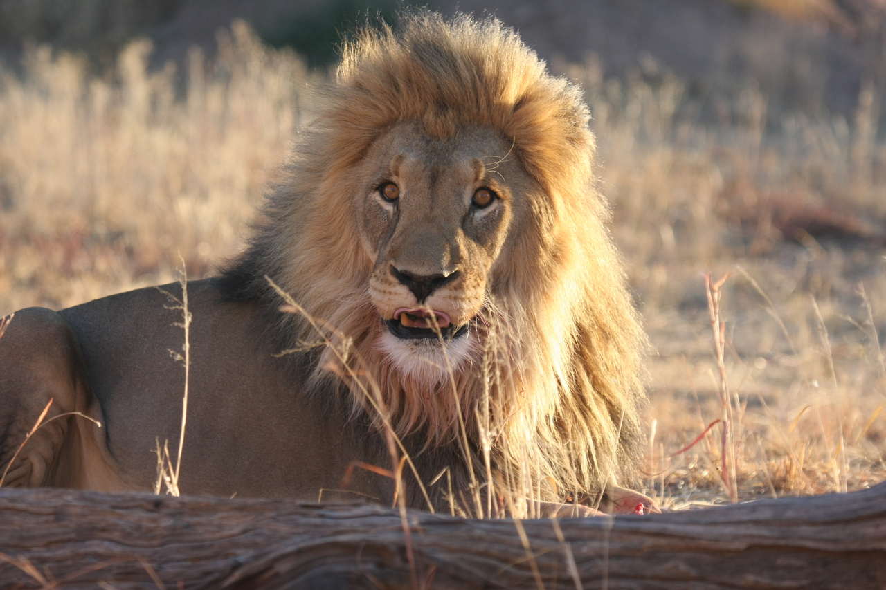 [8112] 2016_06_23_11_51_41_Africa_Canon_EOS_40D_IMG__01645.jpg