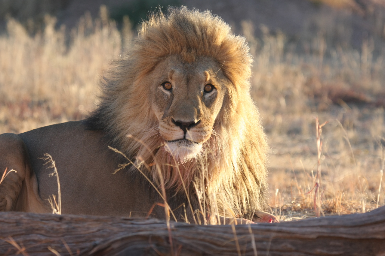 [8115] 2016_06_23_11_51_41_Africa_Canon_EOS_40D_IMG__09093.jpg