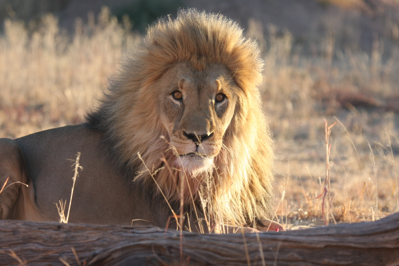 [8116] 2016_06_23_11_51_42_Africa_Canon_EOS_40D_IMG__00813.jpg