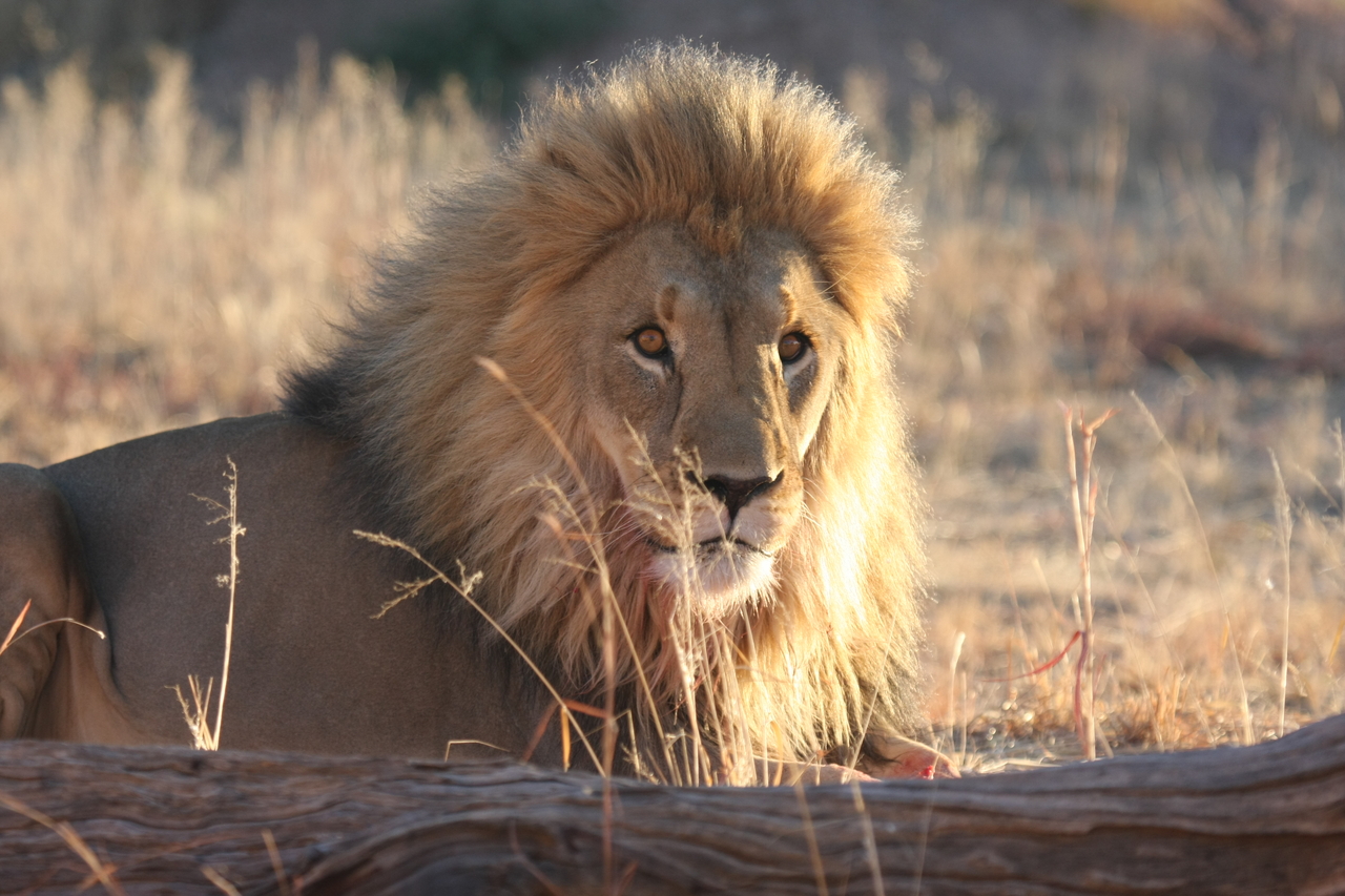 [8117] 2016_06_23_11_51_42_Africa_Canon_EOS_40D_IMG__00814.jpg