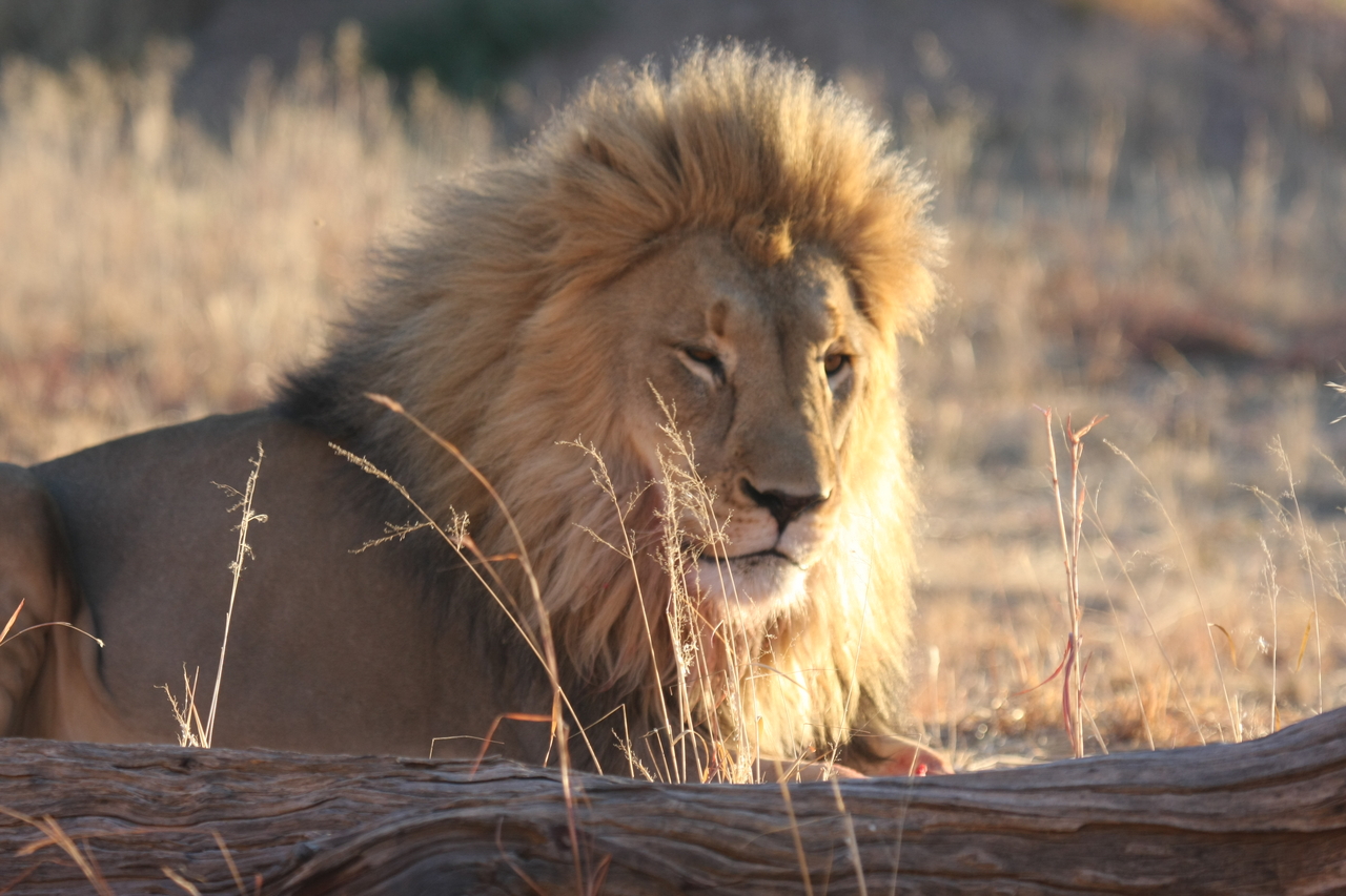 [8118] 2016_06_23_11_51_42_Africa_Canon_EOS_40D_IMG__00815.jpg