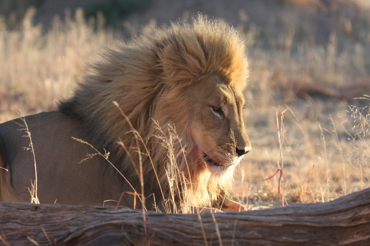 [8126] 2016_06_23_11_51_43_Africa_Canon_EOS_40D_IMG__01650.jpg