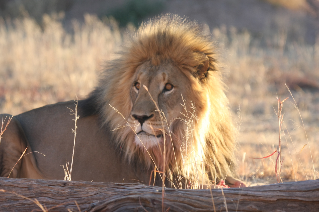 [8135] 2016_06_23_11_51_54_Africa_Canon_EOS_40D_IMG__09099.jpg