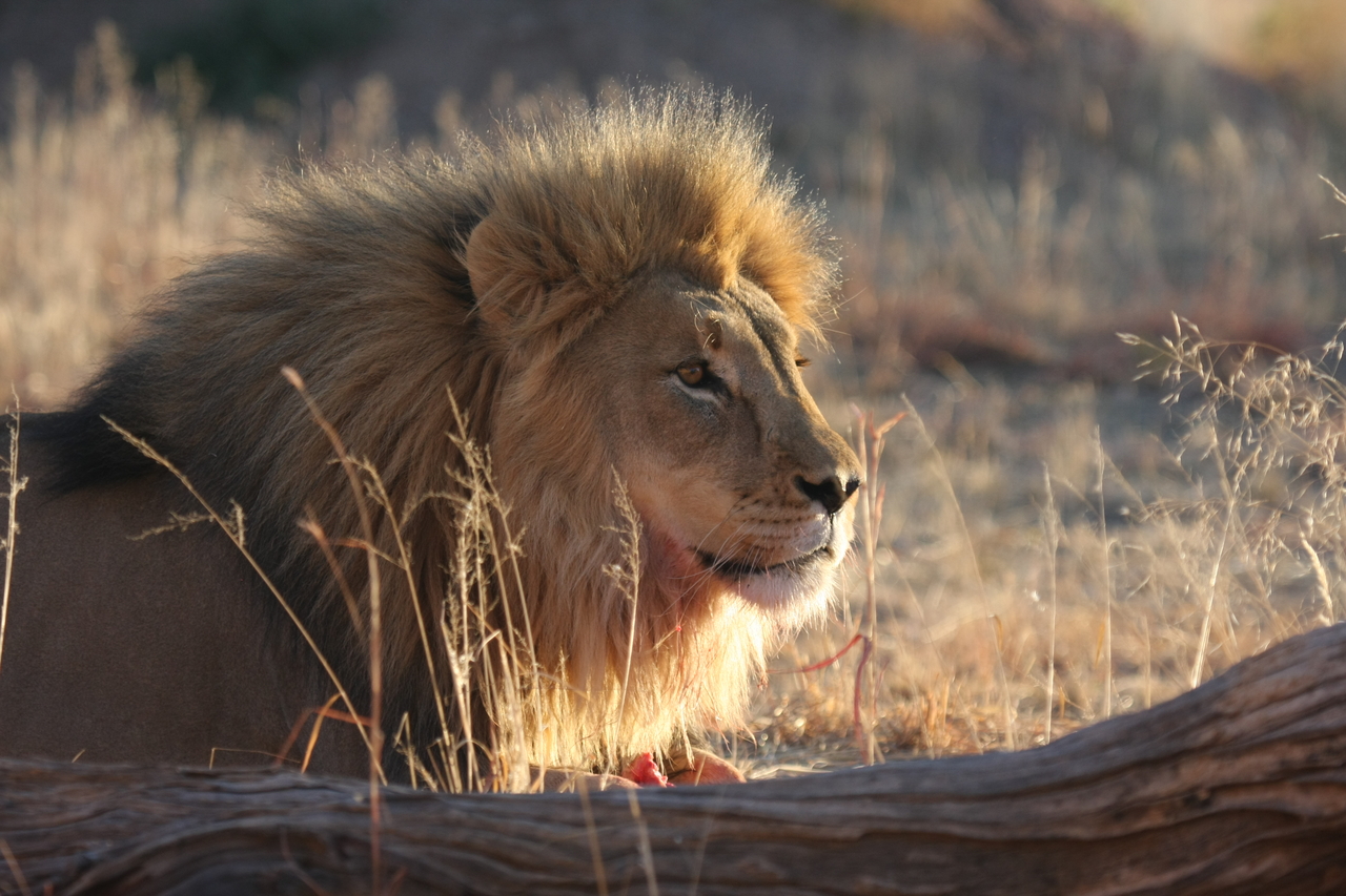 [8141] 2016_06_23_11_51_58_Africa_Canon_EOS_40D_IMG__00823.jpg