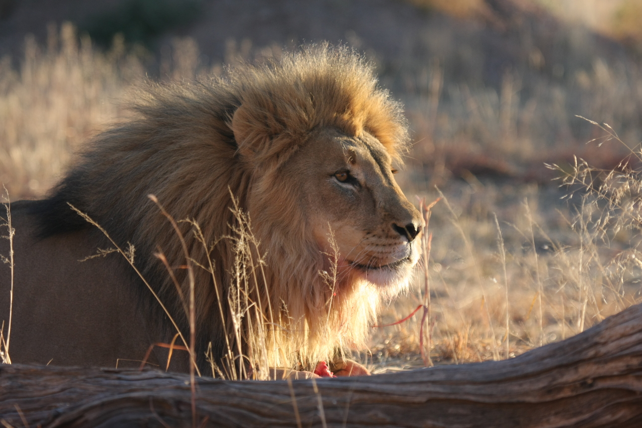 [8143] 2016_06_23_11_51_58_Africa_Canon_EOS_40D_IMG__01656.jpg