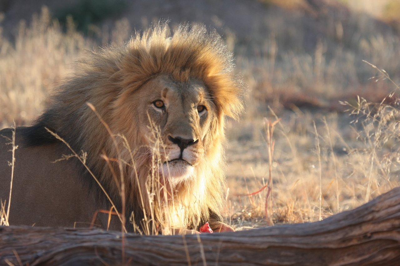 [8171] 2016_06_23_11_52_04_Africa_Canon_EOS_40D_IMG__00834.jpg