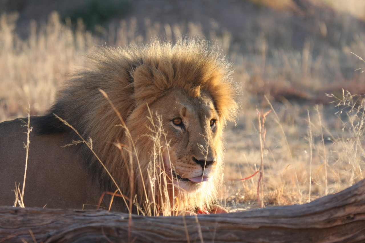 [8181] 2016_06_23_11_52_05_Africa_Canon_EOS_40D_IMG__01671.jpg