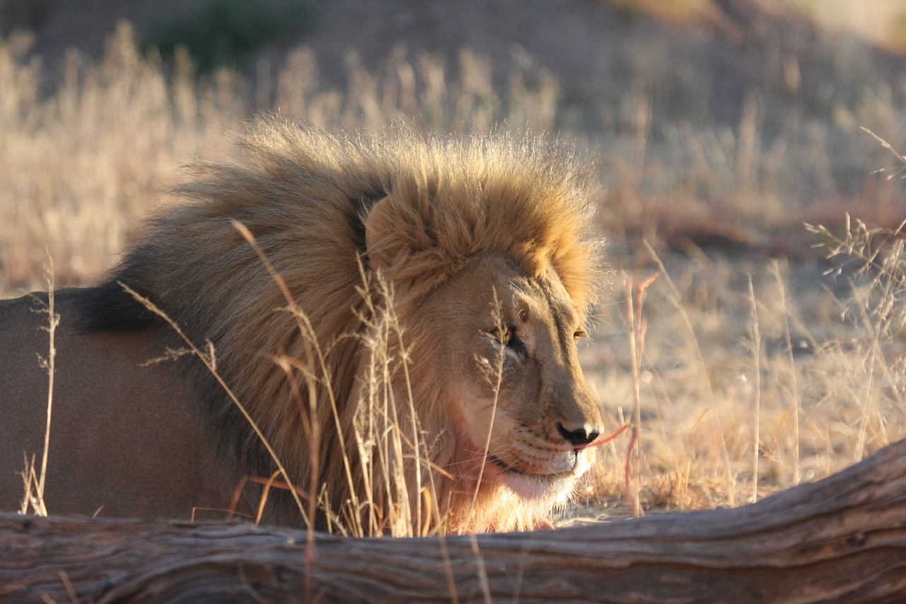 [8187] 2016_06_23_11_52_06_Africa_Canon_EOS_40D_IMG__09119.jpg
