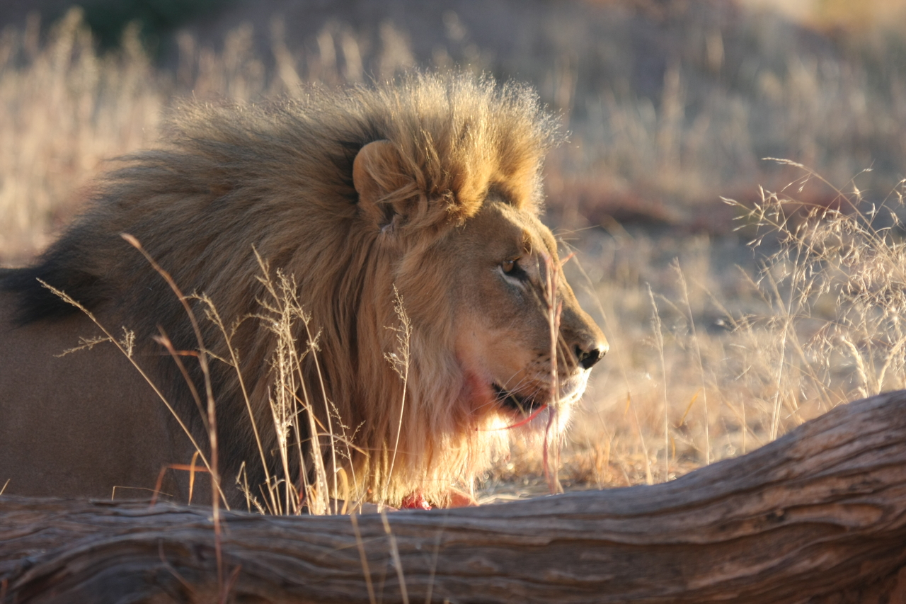 [8193] 2016_06_23_11_52_09_Africa_Canon_EOS_40D_IMG__01675.jpg