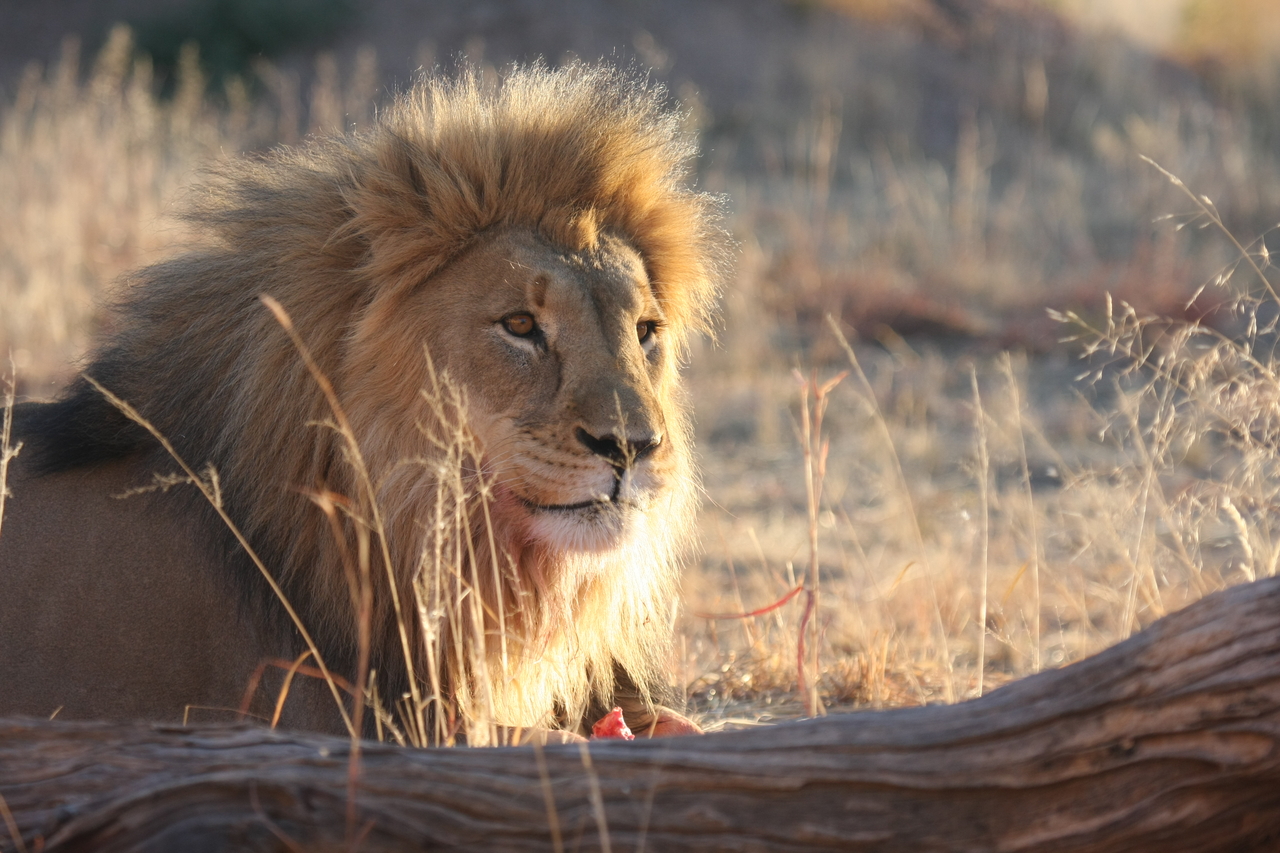 [8198] 2016_06_23_11_52_11_Africa_Canon_EOS_40D_IMG__00844.jpg
