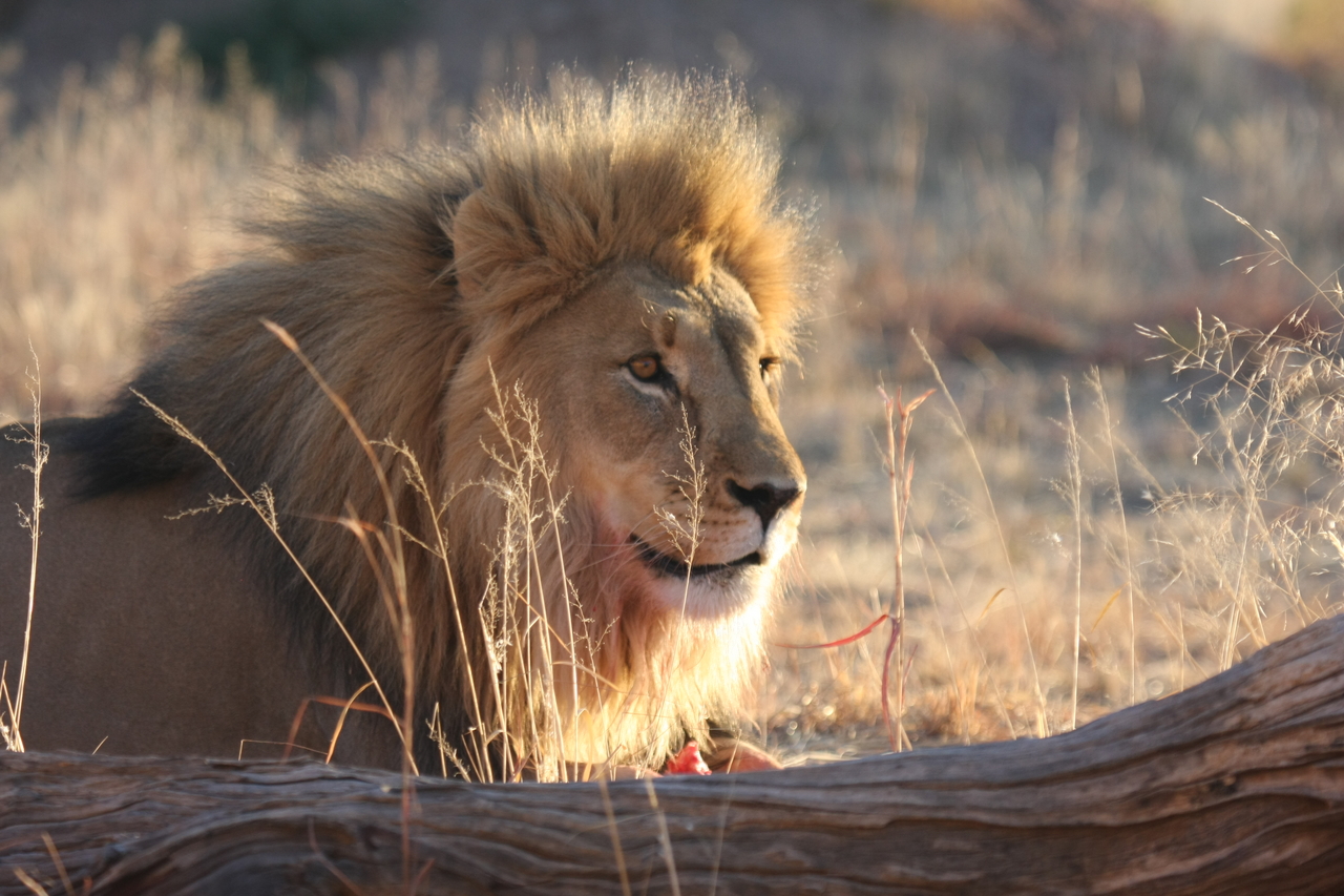 [8206] 2016_06_23_11_52_12_Africa_Canon_EOS_40D_IMG__01680.jpg