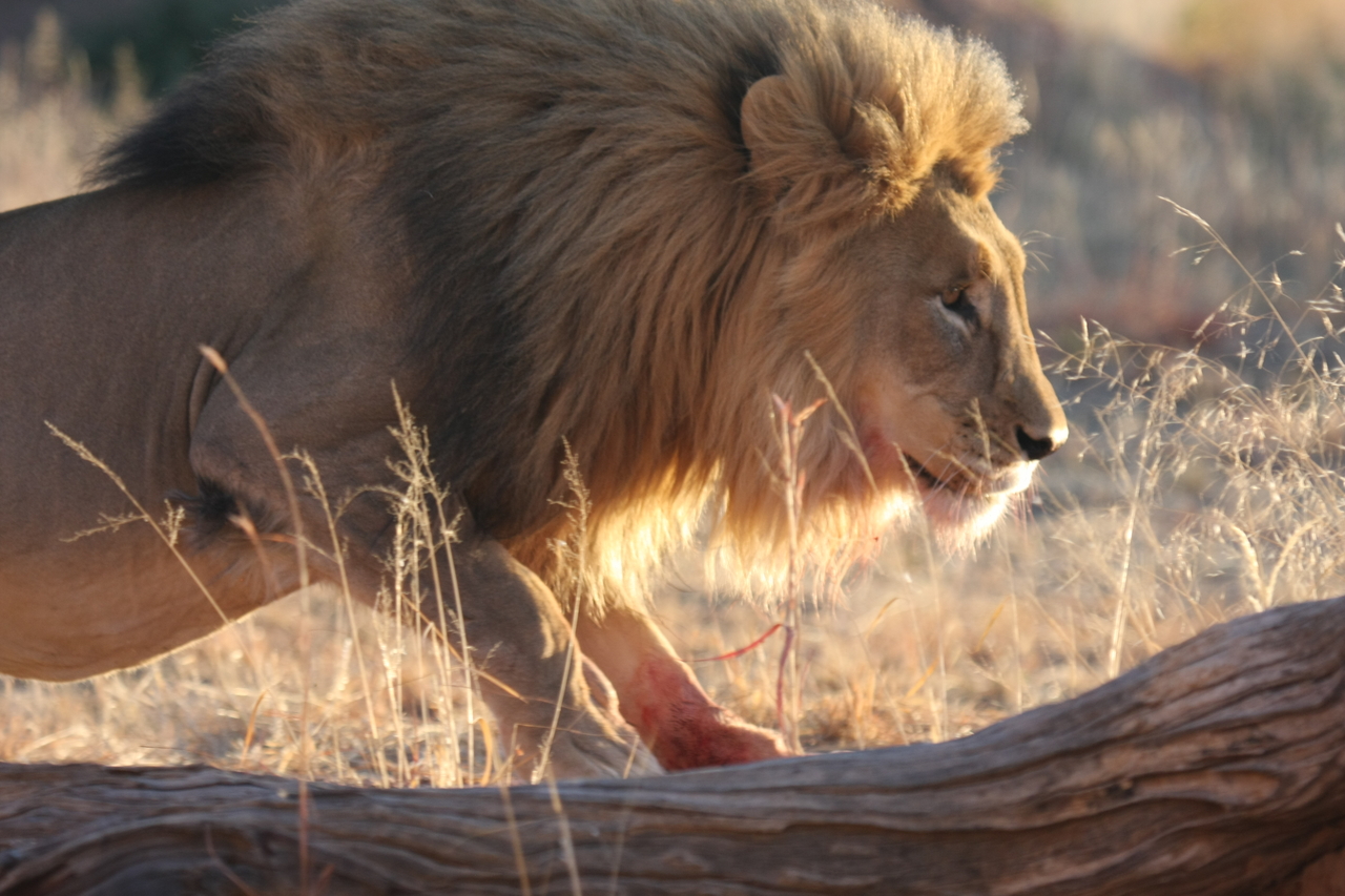 [8213] 2016_06_23_11_52_15_Africa_Canon_EOS_40D_IMG__00849.jpg