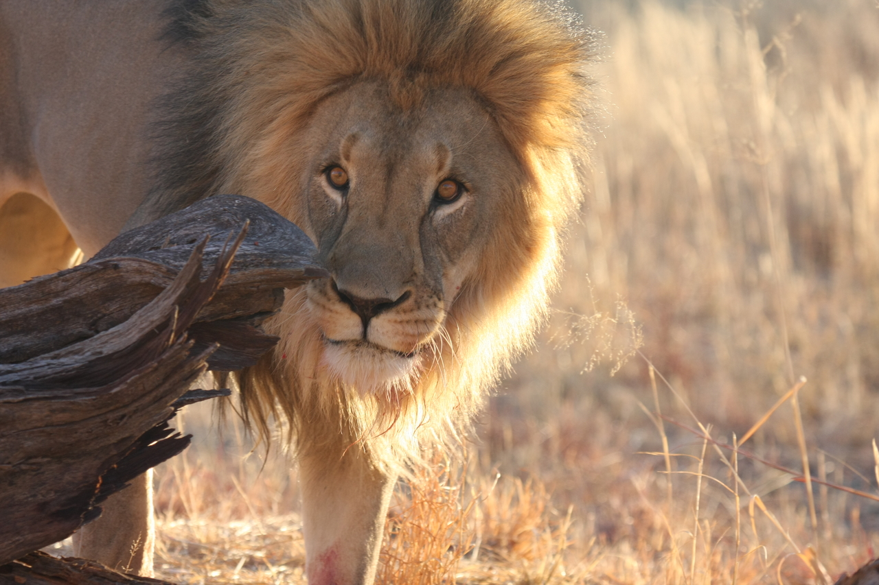 [8227] 2016_06_23_11_52_23_Africa_Canon_EOS_40D_IMG__00854.jpg