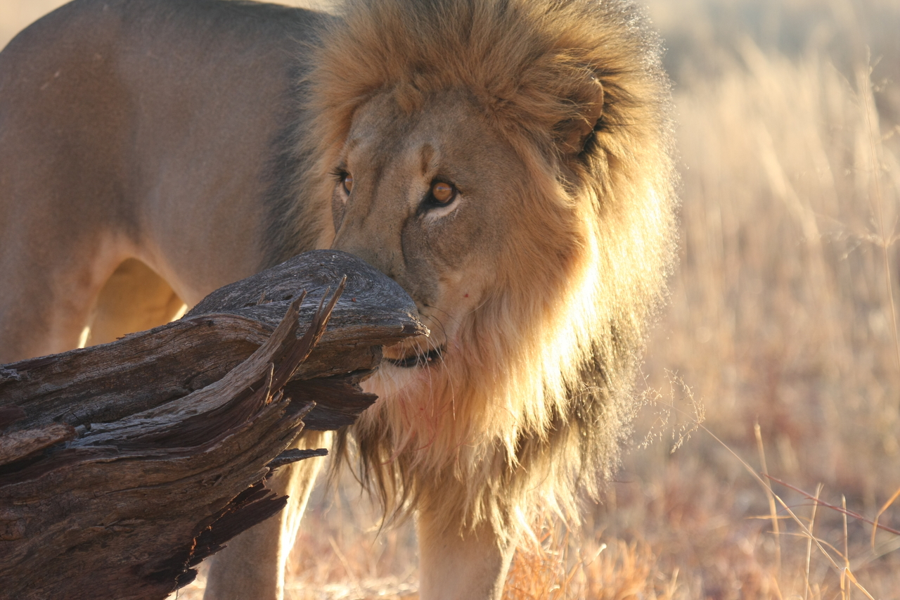 [8237] 2016_06_23_11_52_24_Africa_Canon_EOS_40D_IMG__01691.jpg