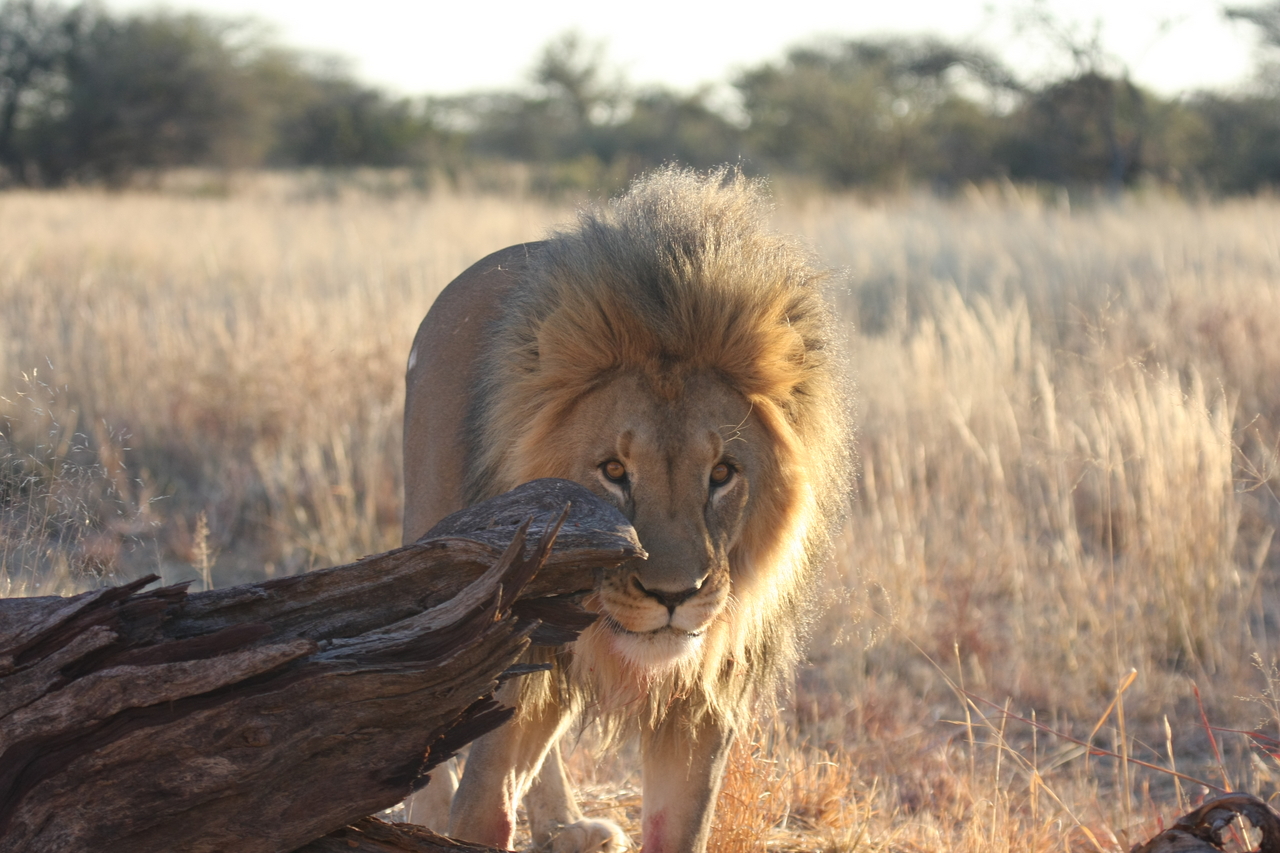 [8252] 2016_06_23_11_52_30_Africa_Canon_EOS_40D_IMG__09142.jpg