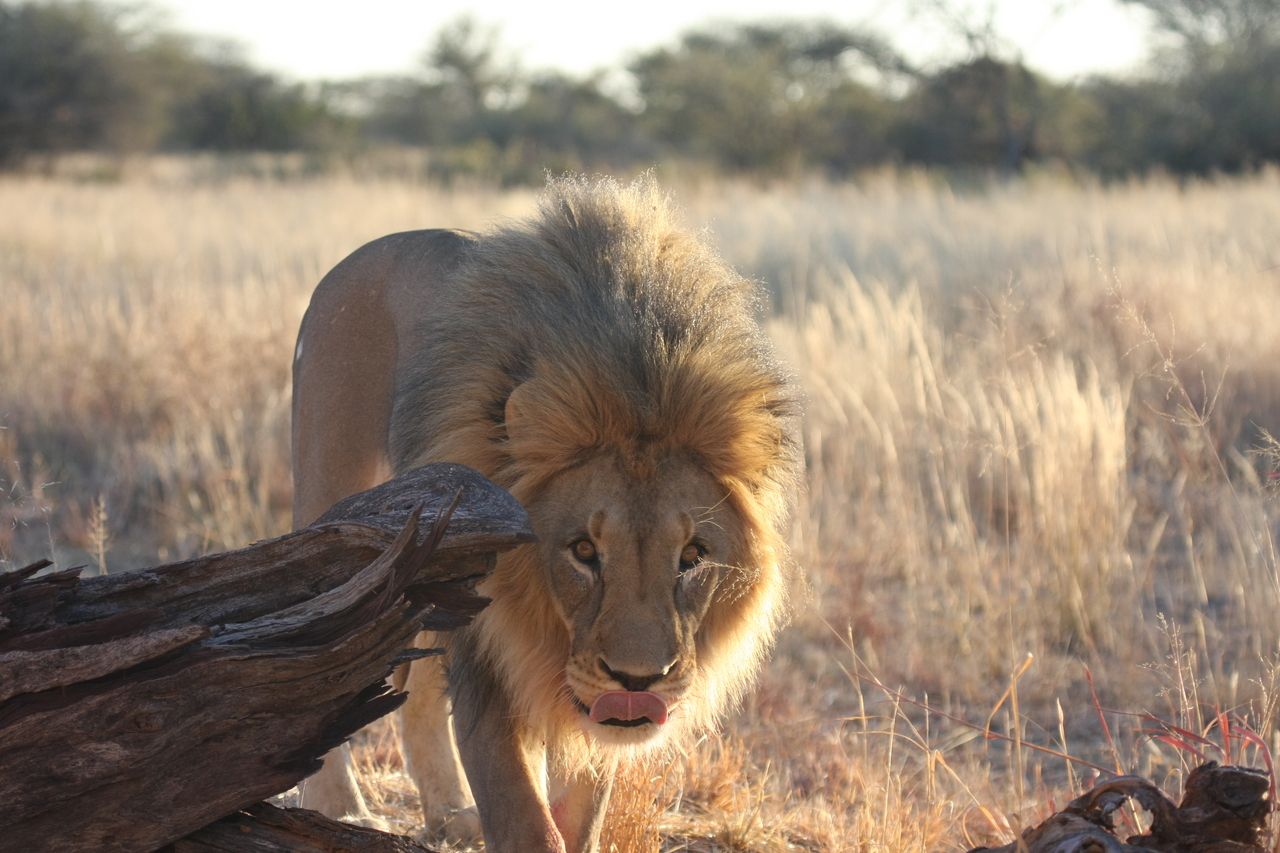 [8254] 2016_06_23_11_52_31_Africa_Canon_EOS_40D_IMG__00863.jpg