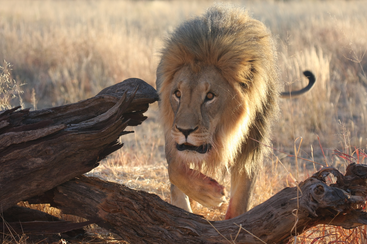 [8257] 2016_06_23_11_52_32_Africa_Canon_EOS_40D_IMG__00866.jpg