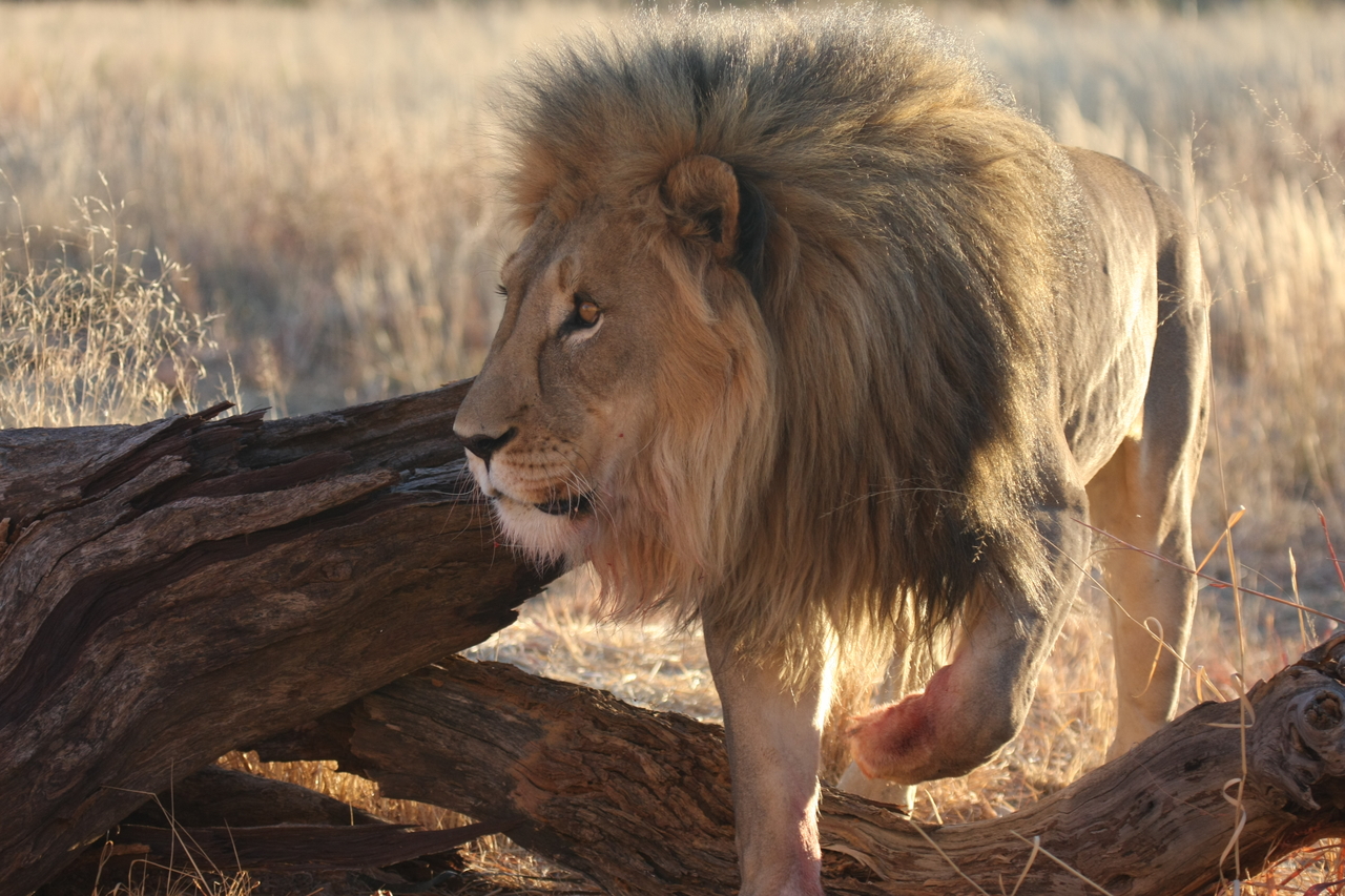 [8264] 2016_06_23_11_52_33_Africa_Canon_EOS_40D_IMG__00869.jpg