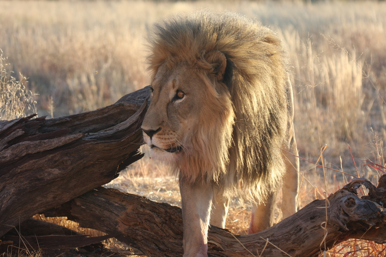 [8266] 2016_06_23_11_52_33_Africa_Canon_EOS_40D_IMG__01702.jpg