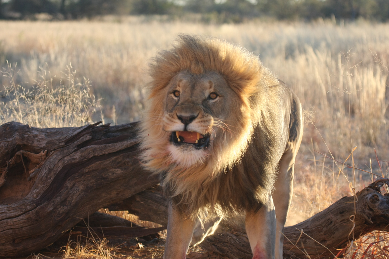 [8280] 2016_06_23_11_52_36_Africa_Canon_EOS_40D_IMG__00873.jpg