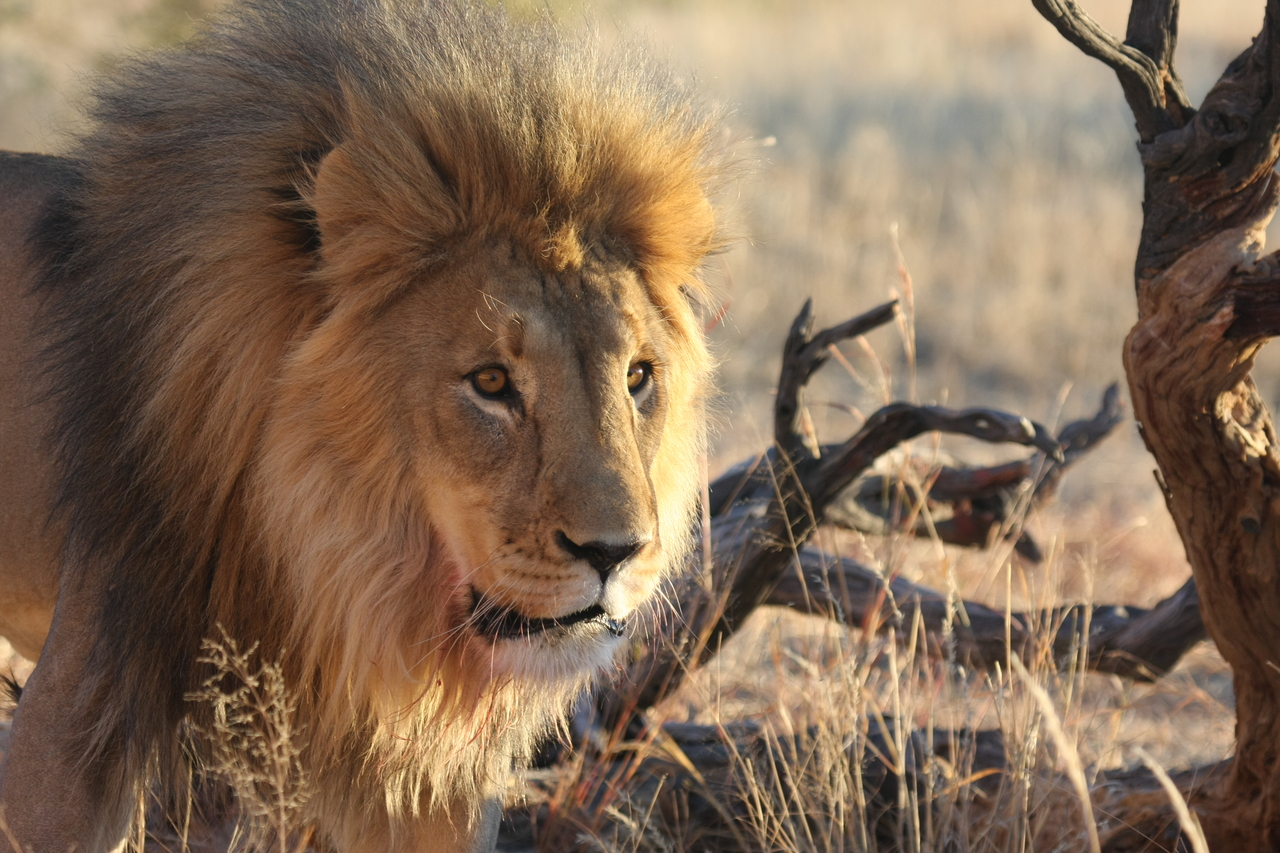 [8314] 2016_06_23_11_53_36_Africa_Canon_EOS_40D_IMG__01718.jpg