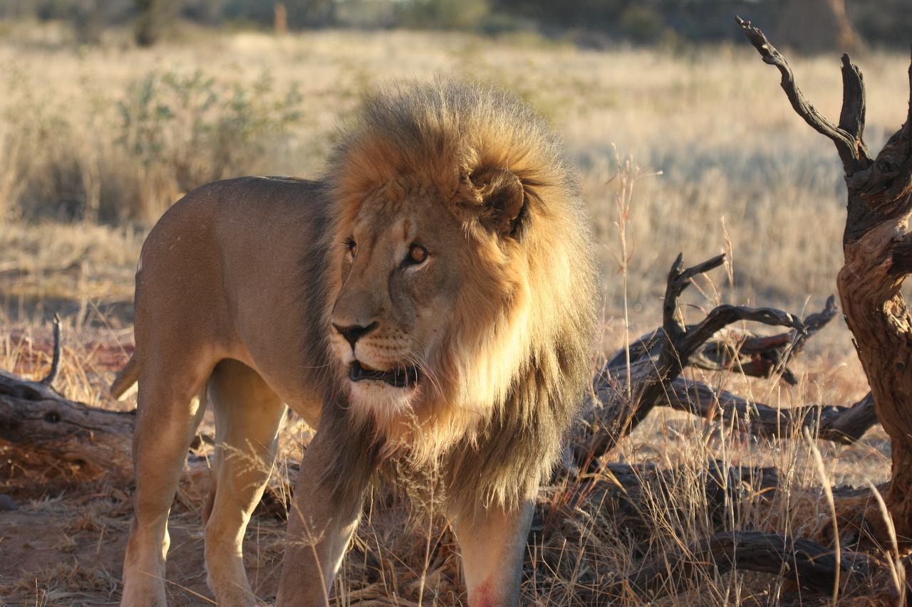 [8324] 2016_06_23_11_53_41_Africa_Canon_EOS_40D_IMG__00889.jpg