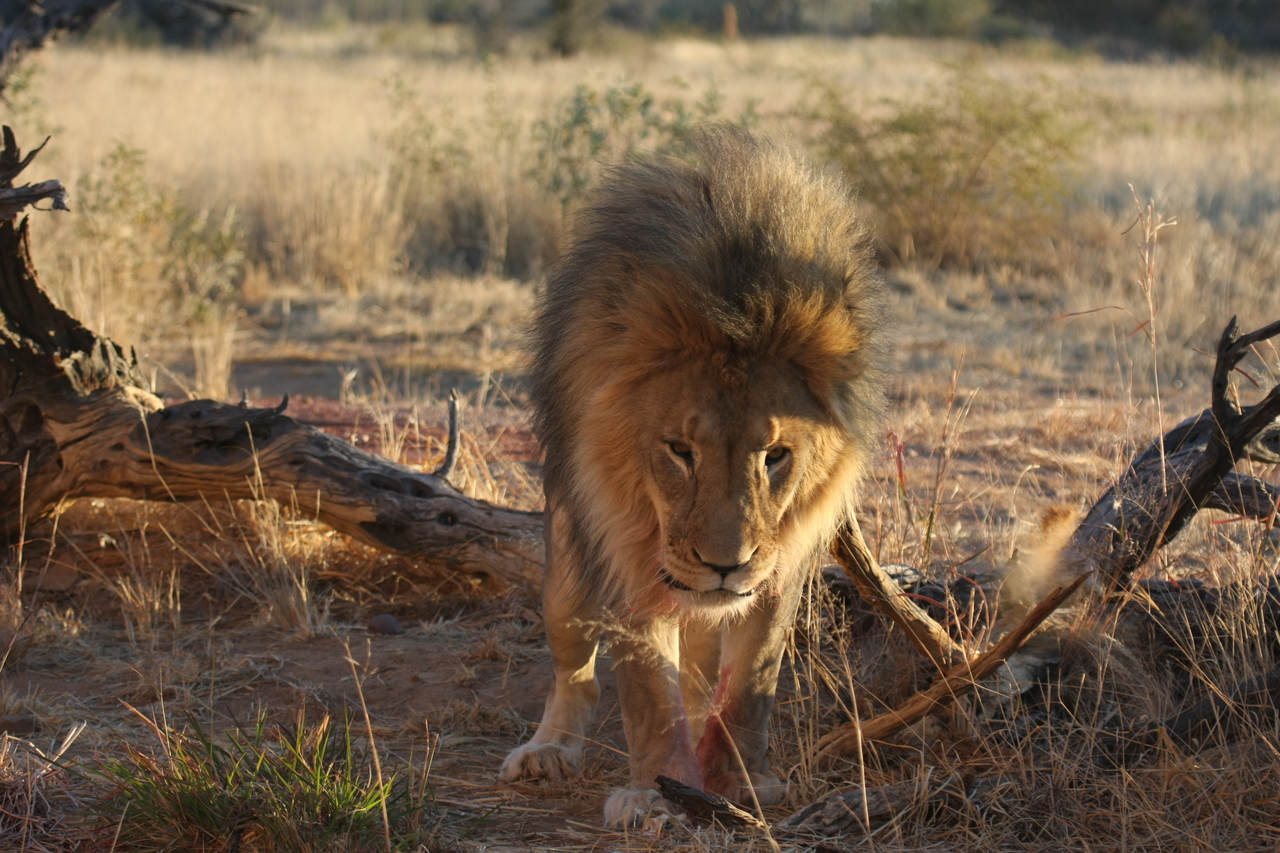 [8338] 2016_06_23_11_53_46_Africa_Canon_EOS_40D_IMG__00893.jpg