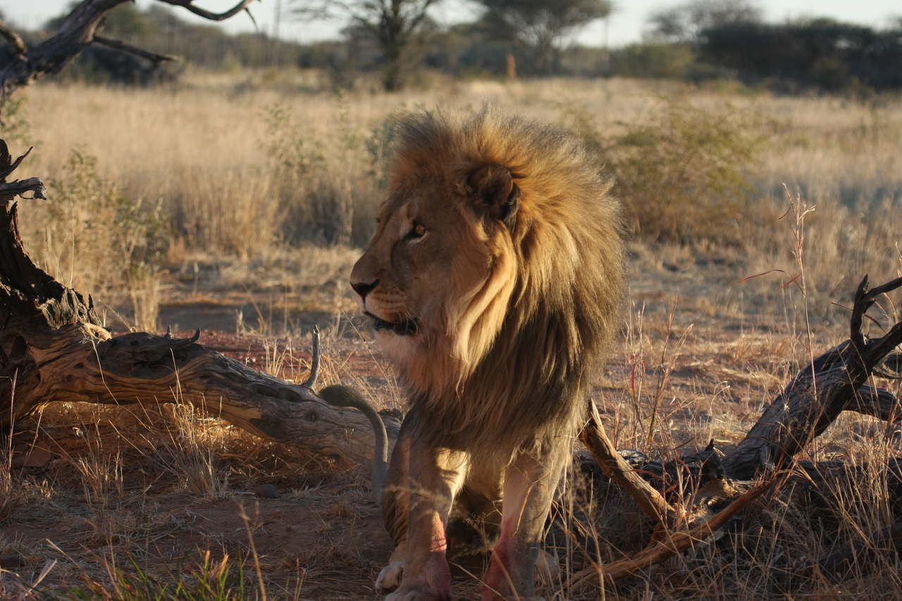 [8356] 2016_06_23_11_53_53_Africa_Canon_EOS_40D_IMG__09178.jpg