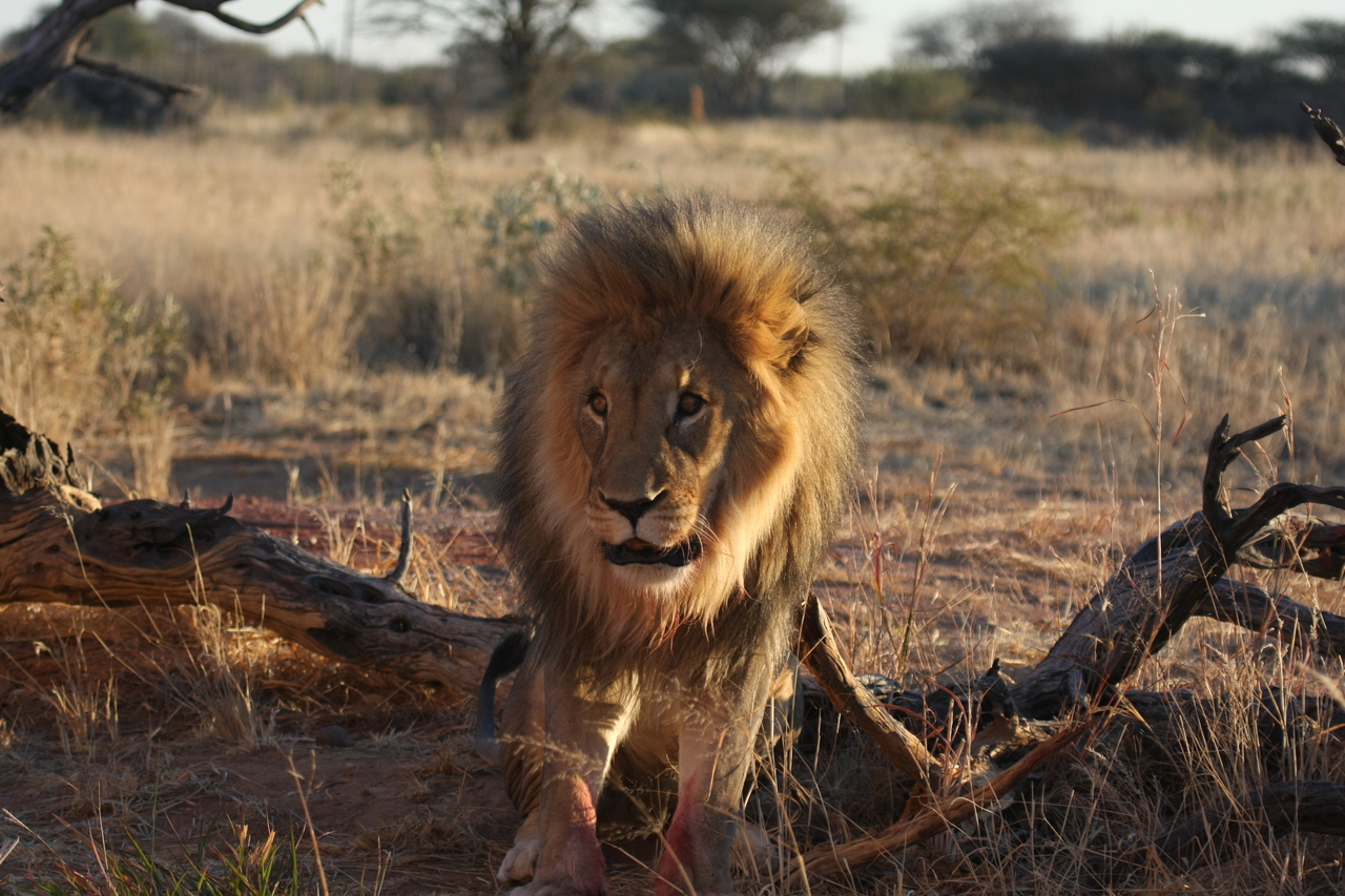 [8386] 2016_06_23_11_54_04_Africa_Canon_EOS_40D_IMG__01742.jpg