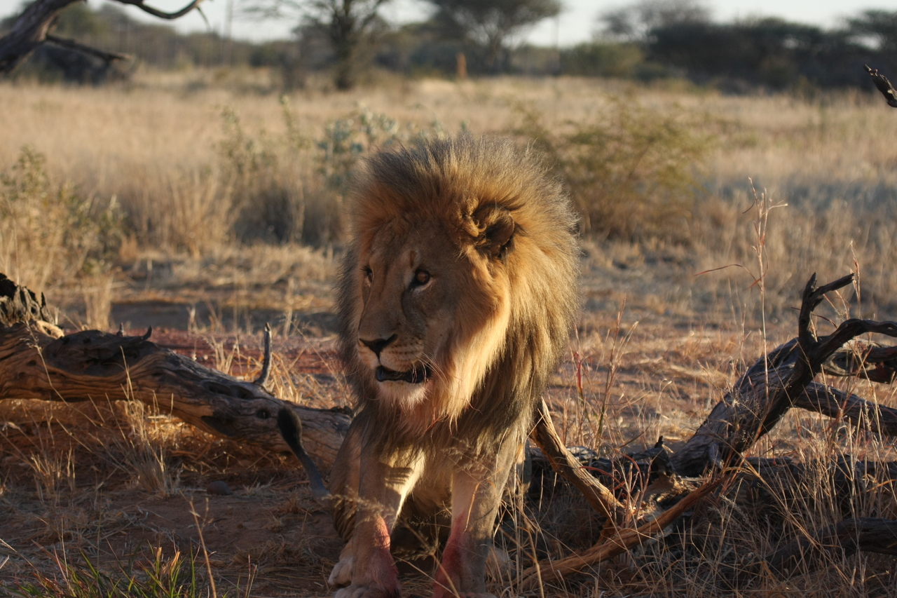 [8389] 2016_06_23_11_54_04_Africa_Canon_EOS_40D_IMG__09191.jpg