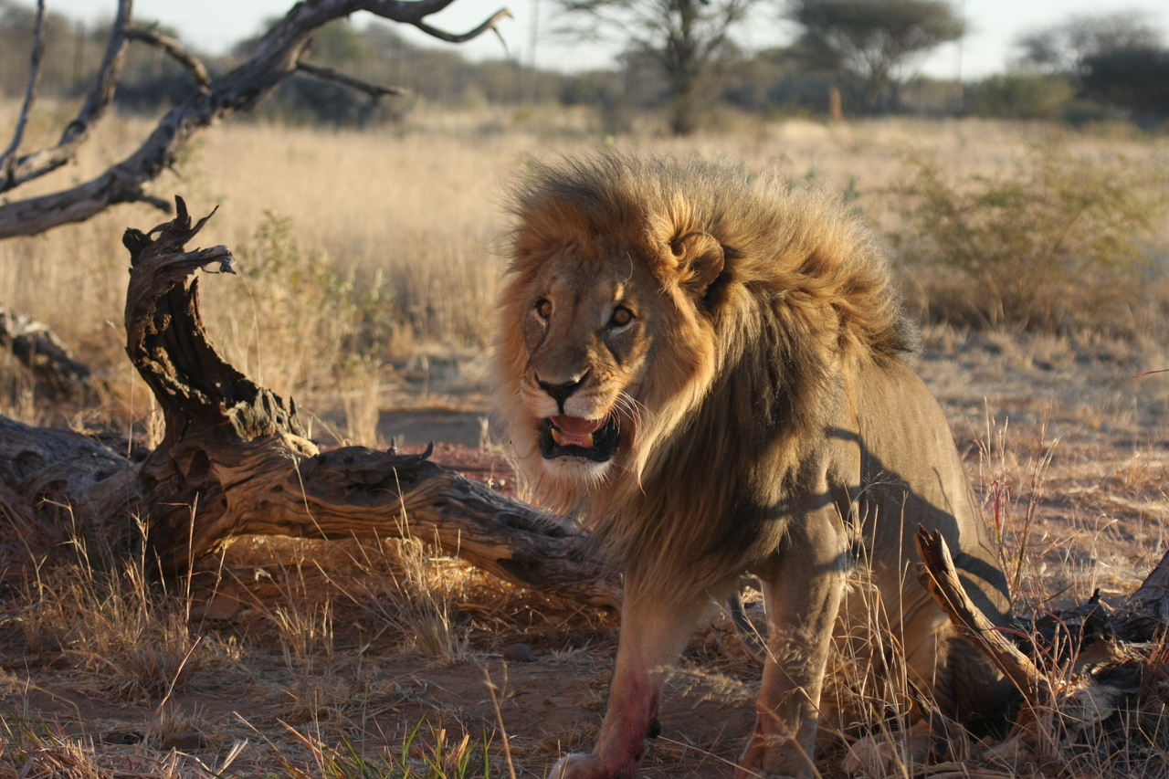 [8399] 2016_06_23_11_54_12_Africa_Canon_EOS_40D_IMG__09193.jpg
